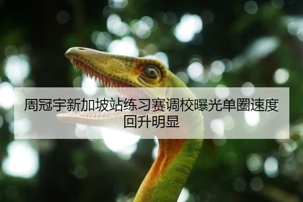 周冠宇新加坡站练习赛调校曝光单圈速度回升明显